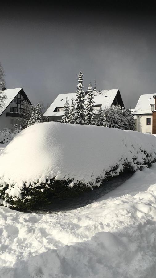 Appartement An Der Erlebniskappe Mit Fahrradkeller วินเทอร์แบร์ก ภายนอก รูปภาพ